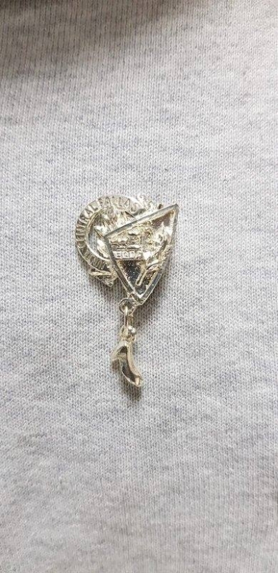 Insignia de plata a la escuadra &quot;los sirokos&quot;